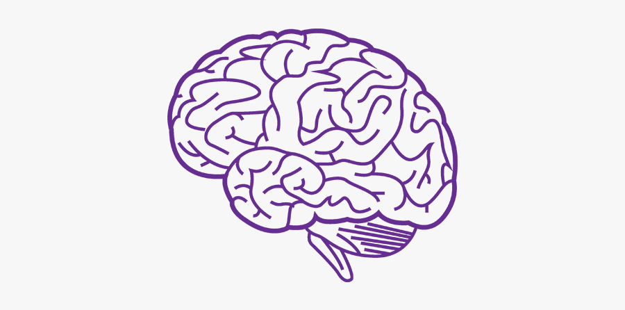 Purple Brain Png, Transparent Clipart