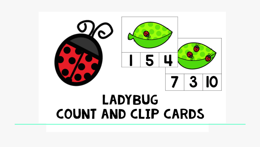 Circle, Transparent Clipart