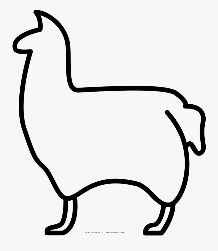 Llama Coloring Page, Transparent Clipart