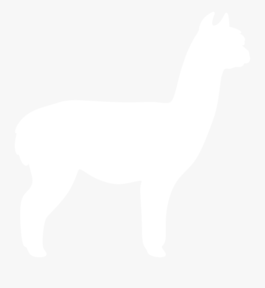Alpaca Silhouette By Paperlightbox - Alpaka Silhouette, Transparent Clipart