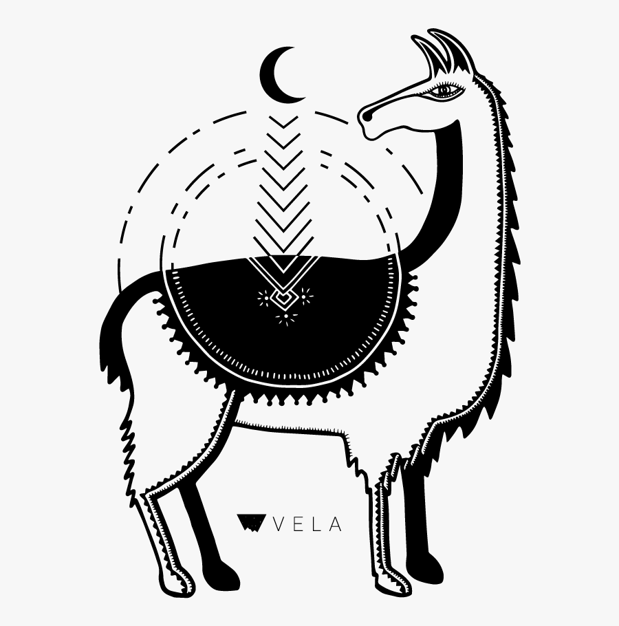 Llama Design Vela Apparel - Illustration, Transparent Clipart