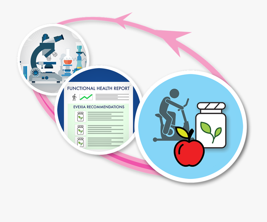 Graphic Design, Transparent Clipart