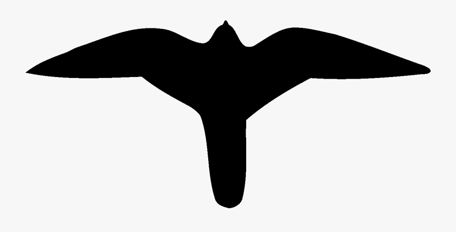 Peregrine Falcon American Kestrel And Merlin Acadia - American Kestrel Silhouette, Transparent Clipart