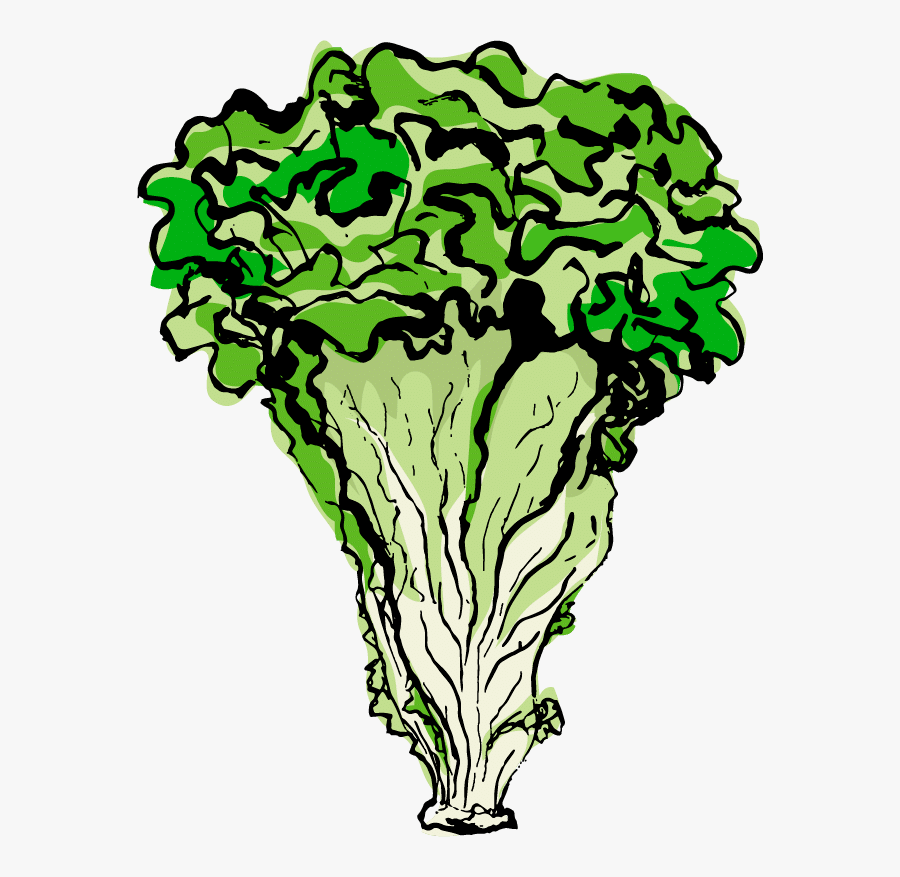 Clip Art, Transparent Clipart