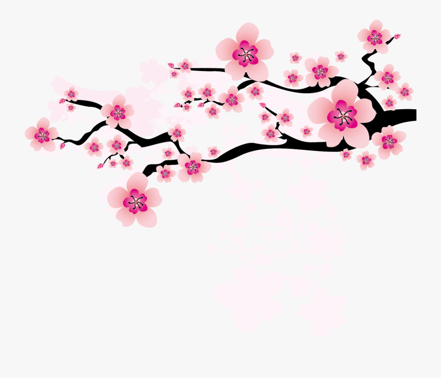 Ume Blossom Clipart Apricot Blossom - Cherry Blossom Png, Transparent Clipart