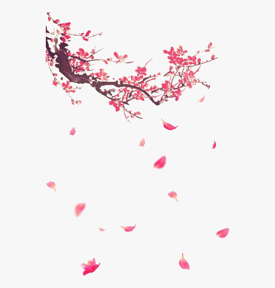 Plum Blossom Png, Transparent Clipart