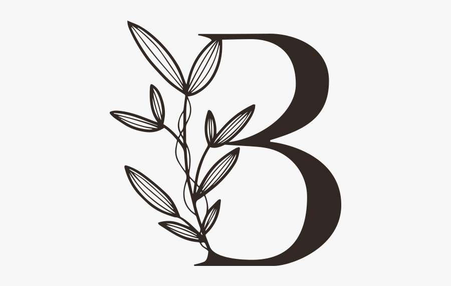 Behind The Lens, Transparent Clipart