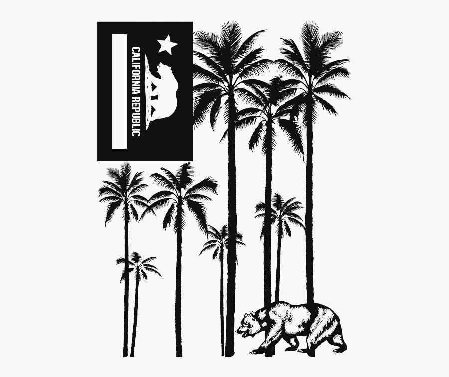Transparent Neon Palm Tree Png - Attalea Speciosa, Transparent Clipart