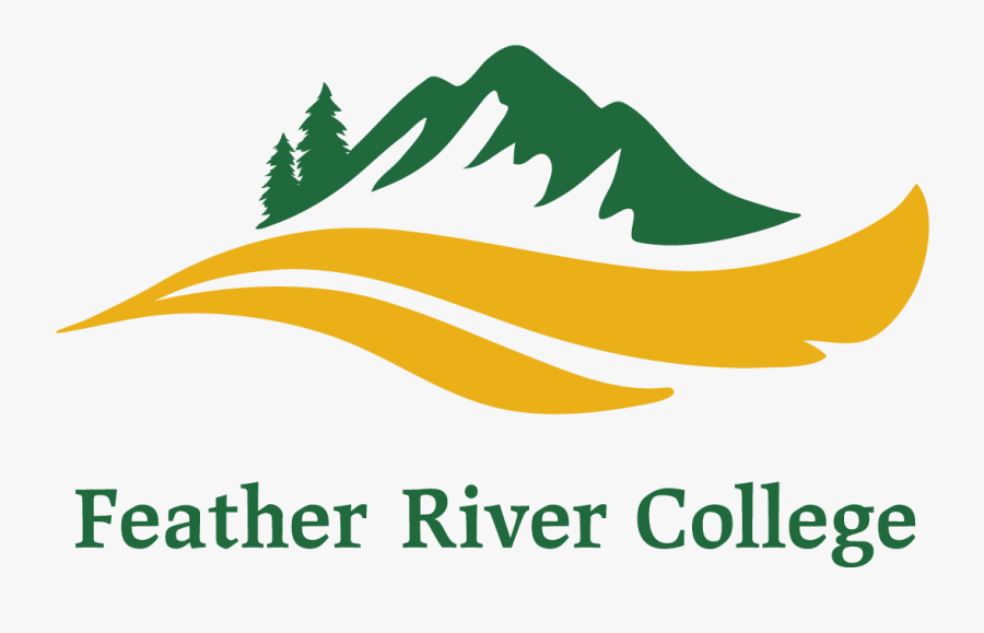 Graphic Design, Transparent Clipart