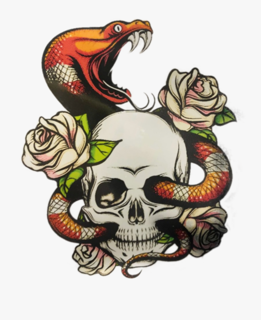 #stickergang #snake #skull #slither #rose #flower #venom - Roses And Snakes Colored Drawings, Transparent Clipart