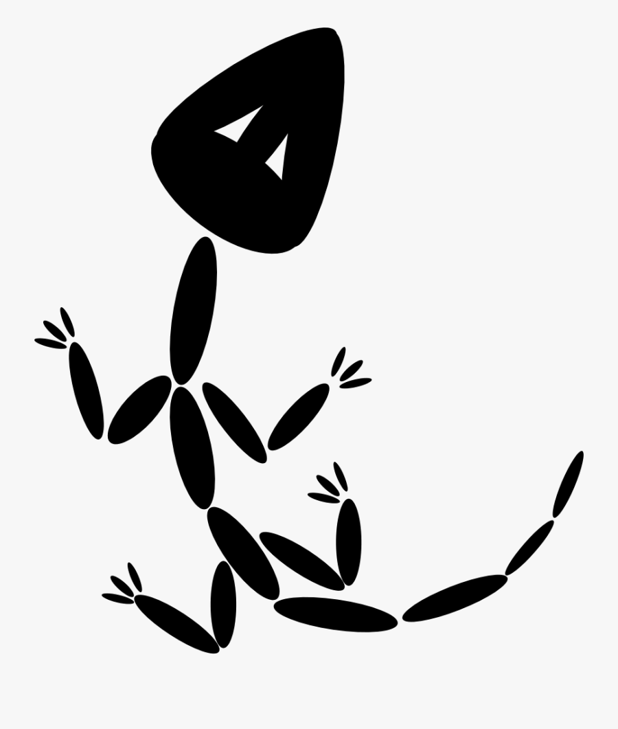 Vc Fossil - Fossil Logos, Transparent Clipart