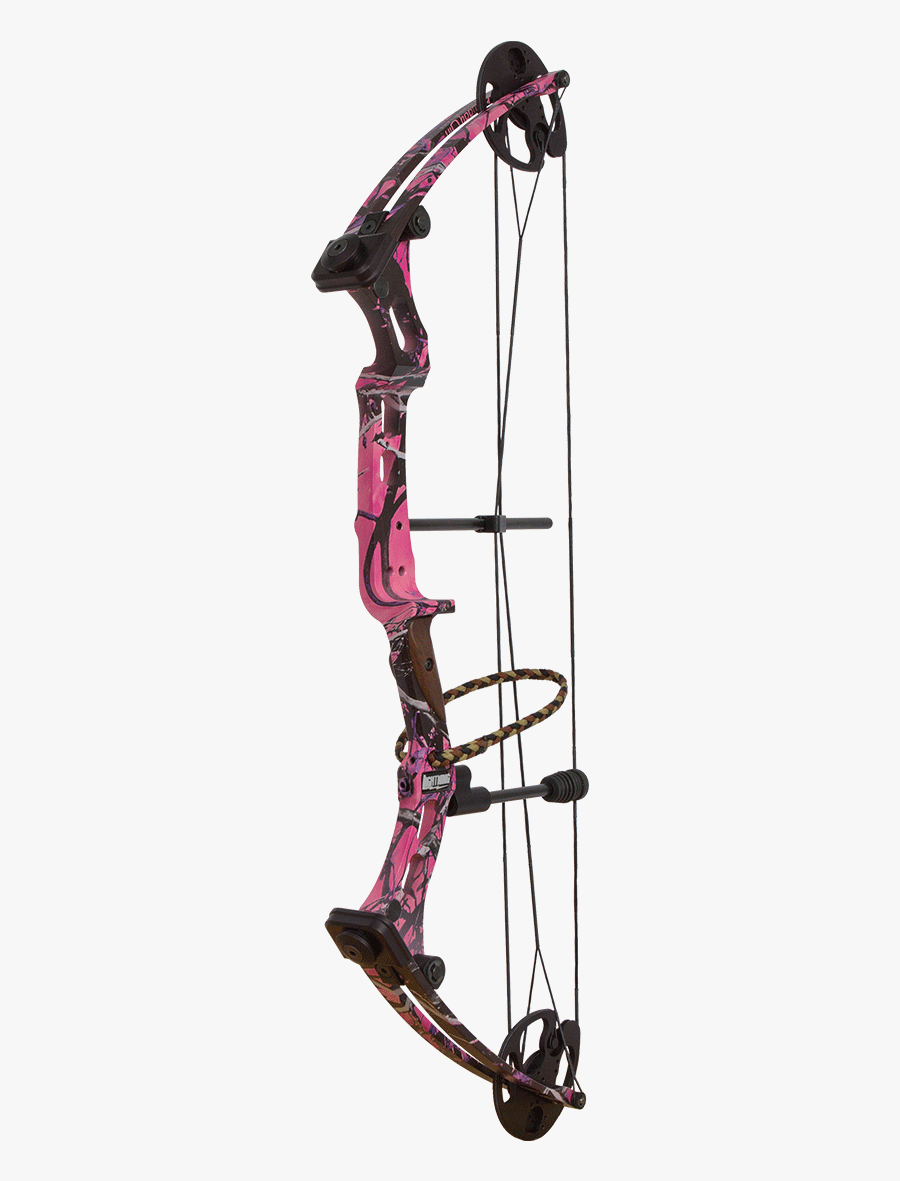 Parker Compound Bow Deals 60 Off Fderechoydiscapacidad Es Parker Compound Bow Deals 60 Off Fderechoydiscapacidad Es