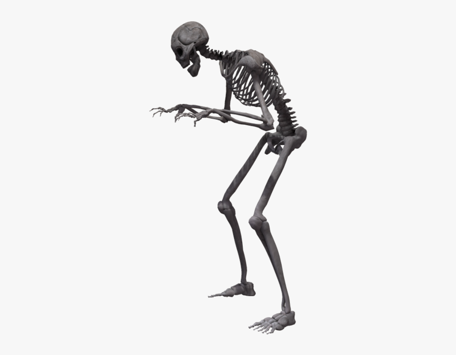Stand,drawing,sketch - Skeleton Png Dancing, Transparent Clipart