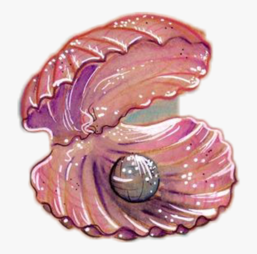 #shell #sea #pearl #seashell #ocean #pink - Shell, Transparent Clipart