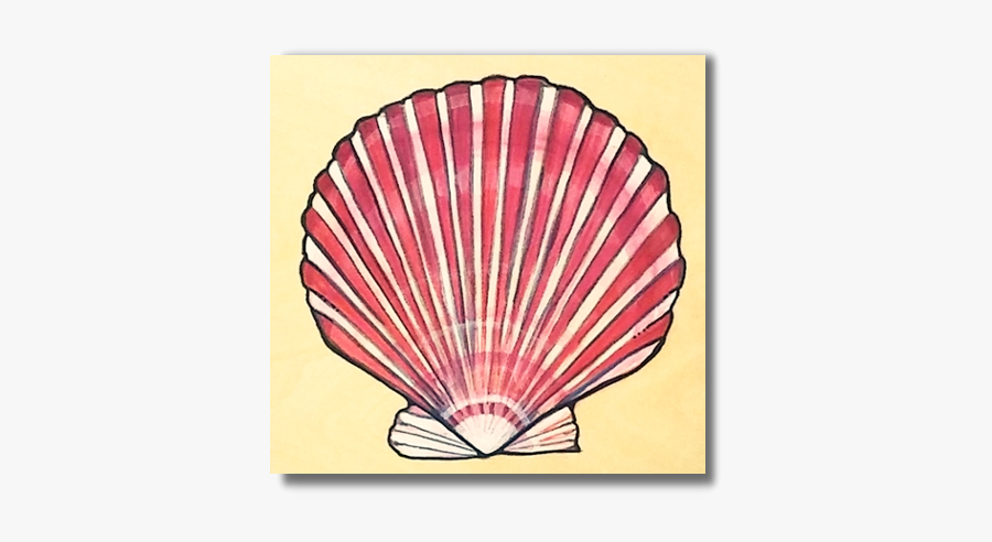 Scallop Shell - Paper, Transparent Clipart