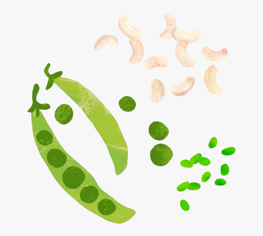 Soupologie Pea Cashew - Snow Peas, Transparent Clipart
