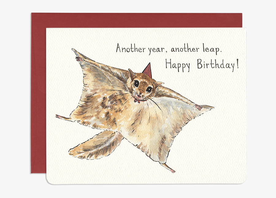 Tabby Cat, Transparent Clipart