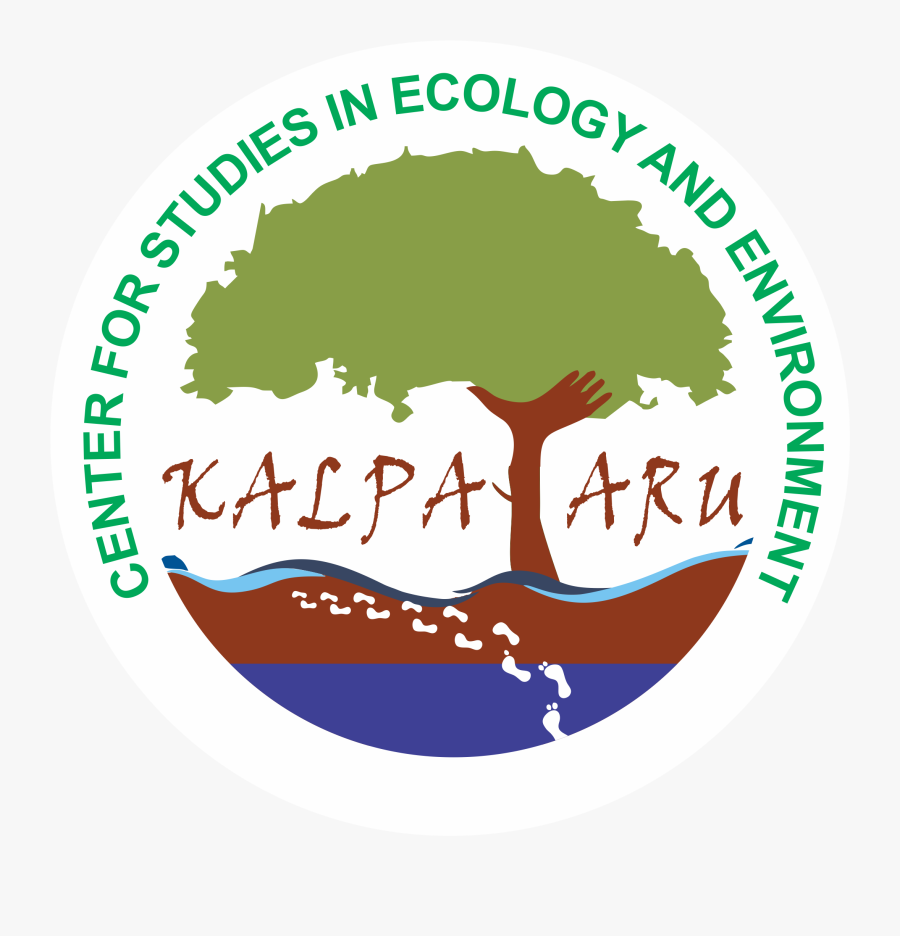 Child Care, Transparent Clipart