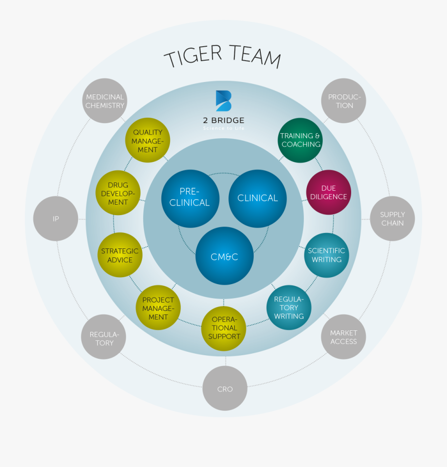 Circle, Transparent Clipart