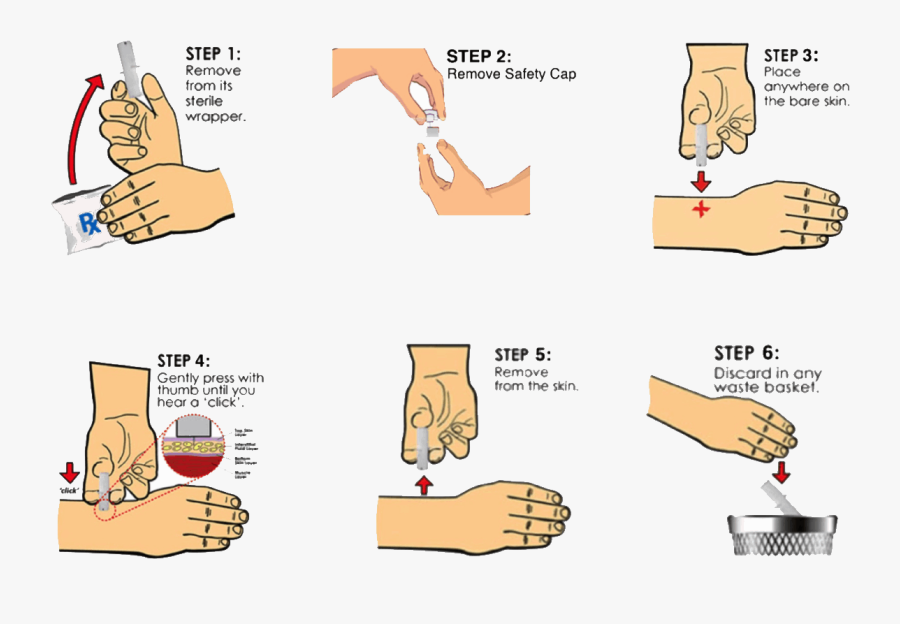 Mobirise - Cartoon, Transparent Clipart