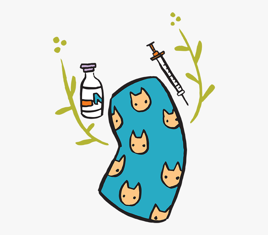 Clip Art, Transparent Clipart