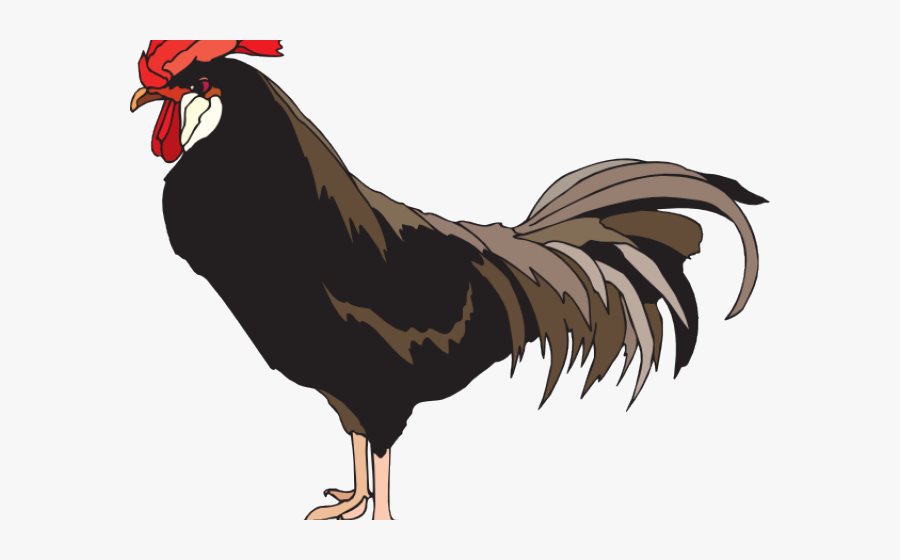 Gif Chicken Png, Transparent Clipart
