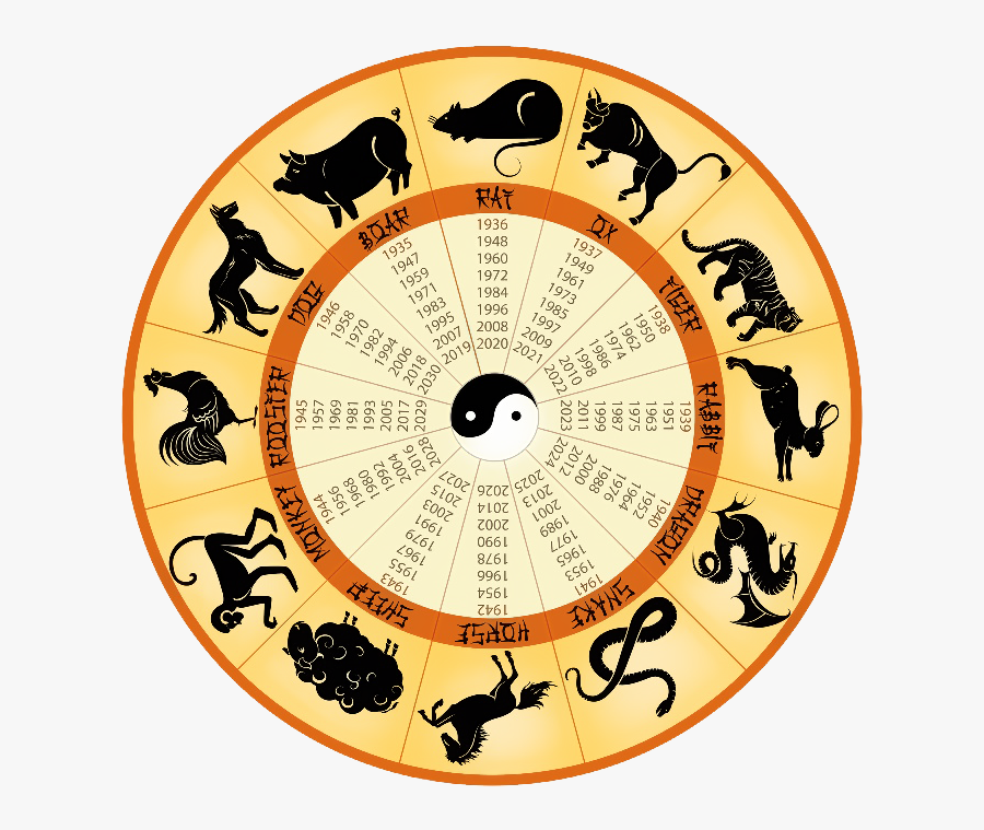 Circle, Transparent Clipart