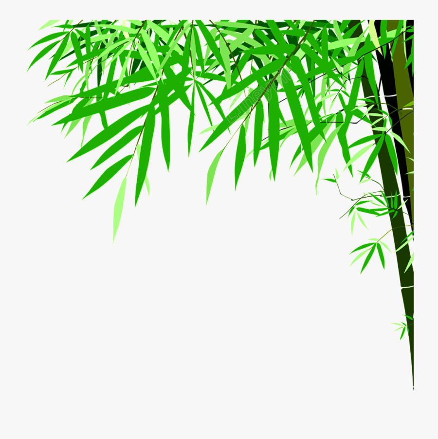 Green Bamboo Png - Bamboo Png, Transparent Clipart