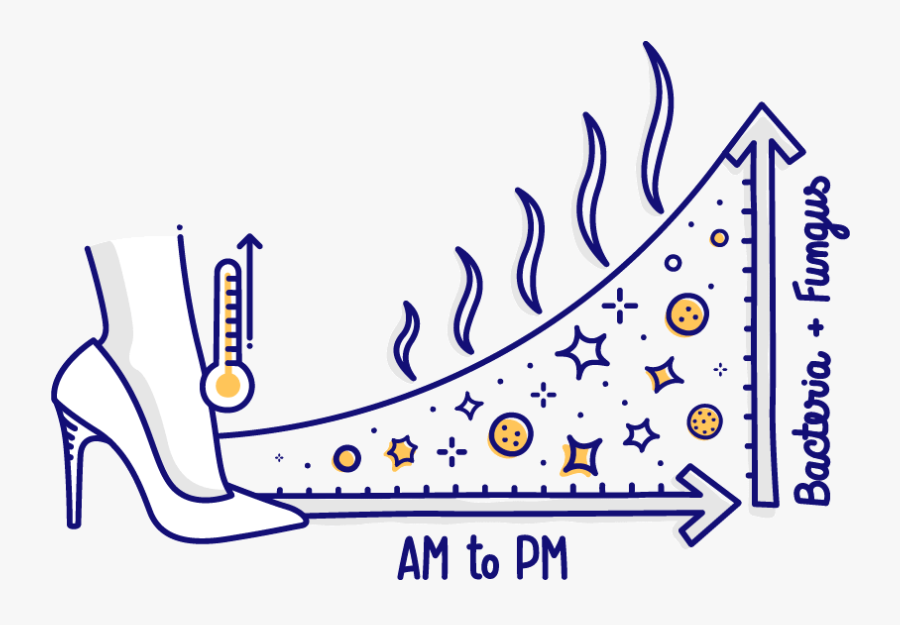 Diagram, Transparent Clipart