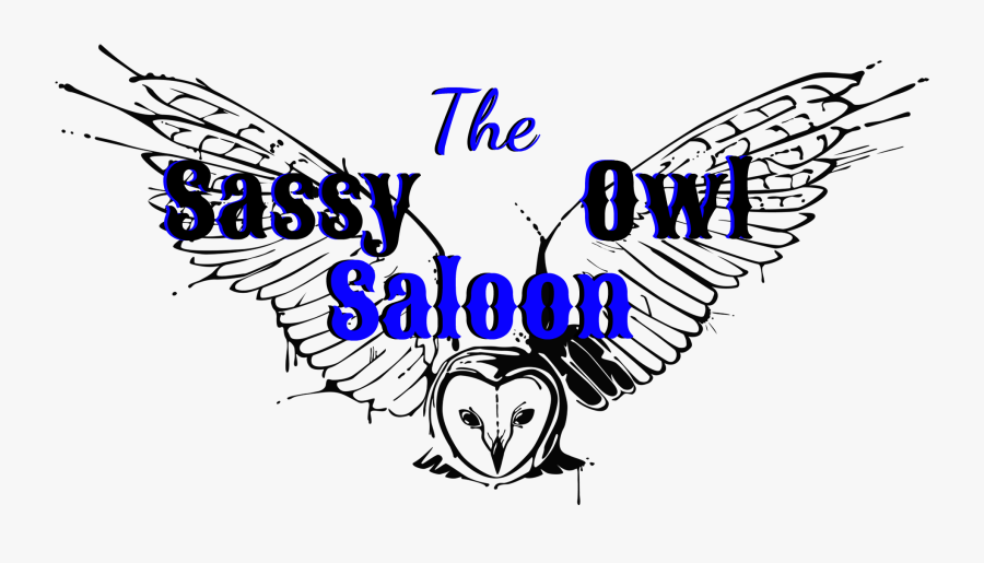 Owl Wings Open Png Ink Drawing, Transparent Clipart