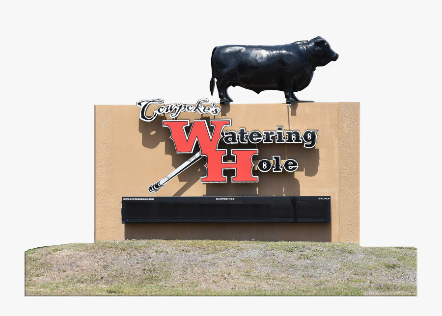 Cowpokes Watering Hole Location - Dairy Cow, Transparent Clipart