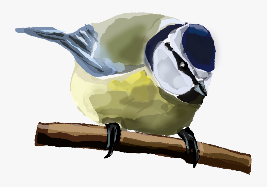 Blue Tit - Eurasian Blue Tit, Transparent Clipart