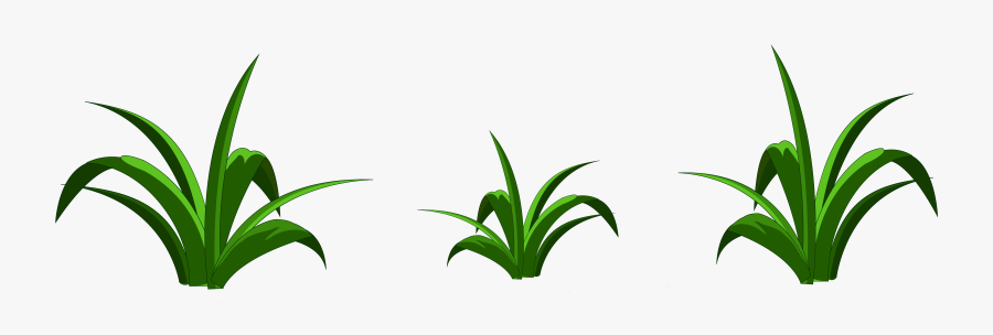 Grass Clipart Transparent Background, Transparent Clipart