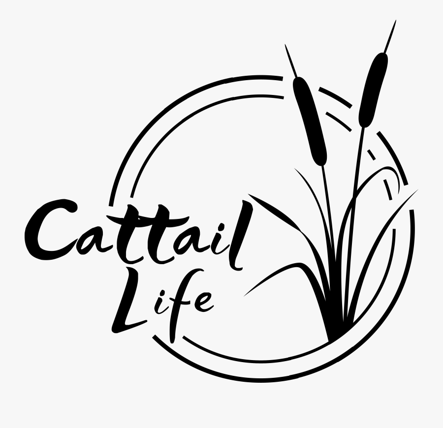 Freeingcattails Order Fo59bc7bdd21 Kz00a R08a - Shooting Range Target, Transparent Clipart