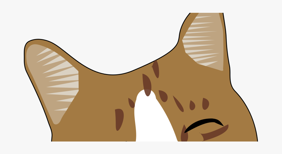 Animals For 2 Year Olds , Transparent Cartoons - Cat Face Png, Transparent Clipart