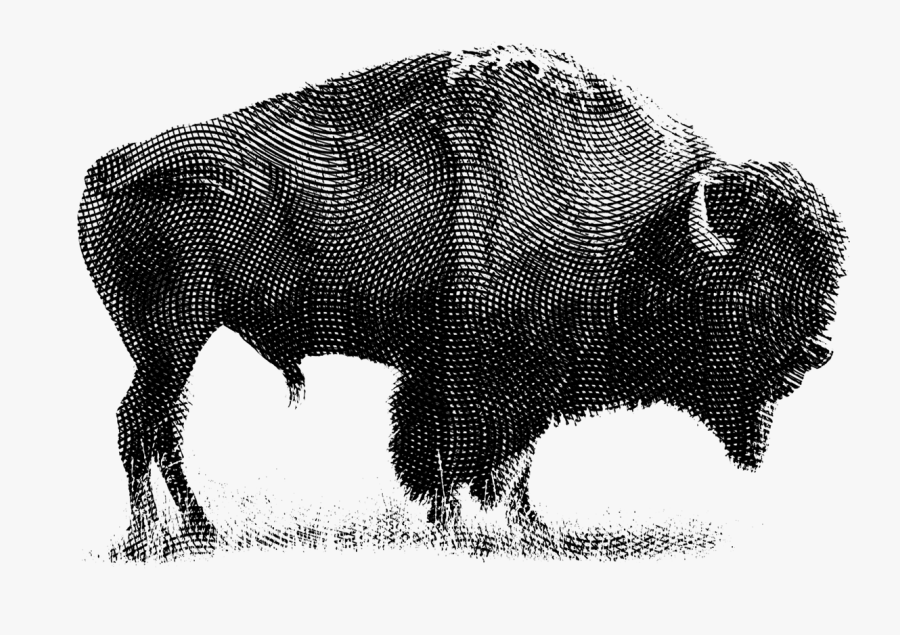 Bison, Transparent Clipart