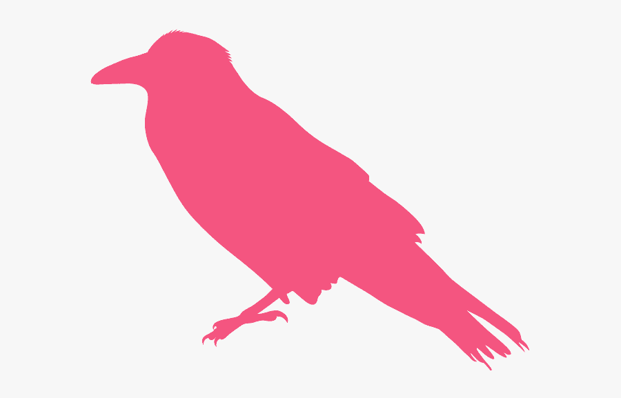 Silhueta De Corvo, Transparent Clipart
