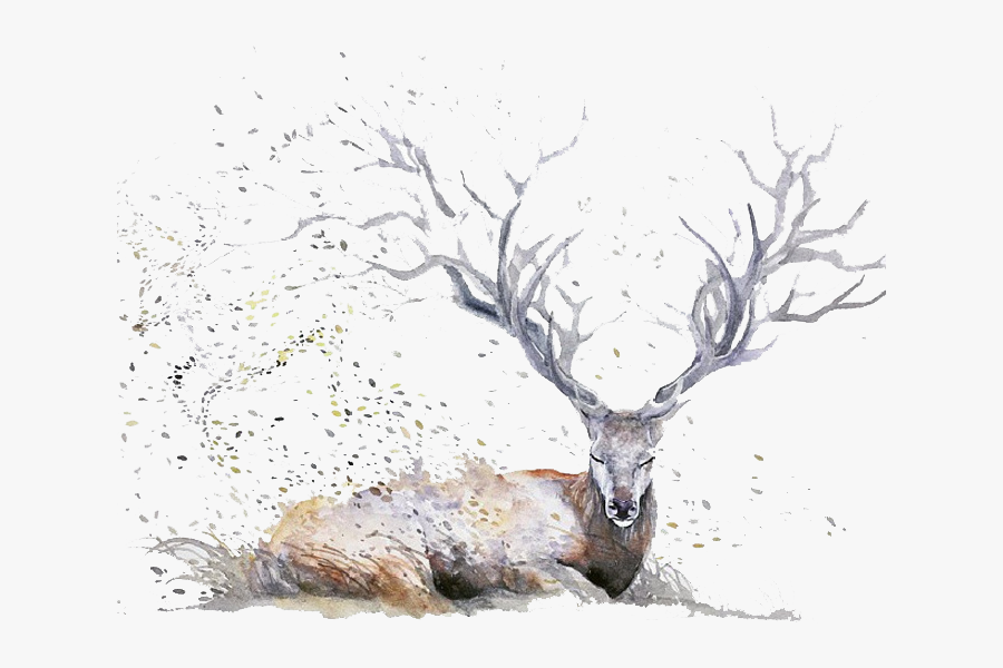 Deer Watercolor Painting Illustration - Imagenes De Venados Chidas, Transparent Clipart