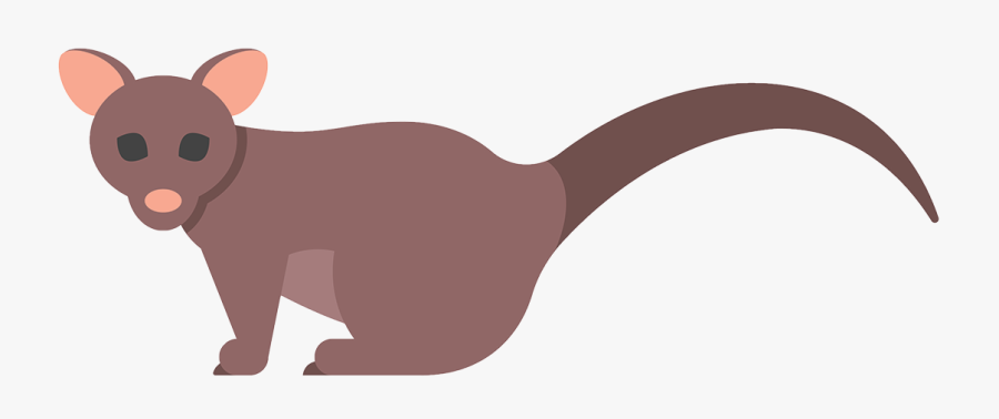 Opossum Clipart , Png Download, Transparent Clipart