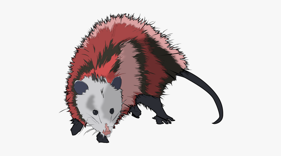 Possum Clipart Vector - Possum Vector Png, Transparent Clipart