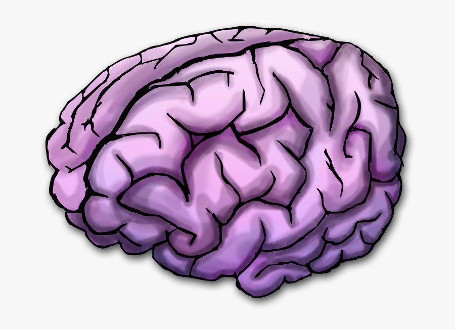 Transparent Fart Clipart - Purple Brain Transparent Background, Transparent Clipart