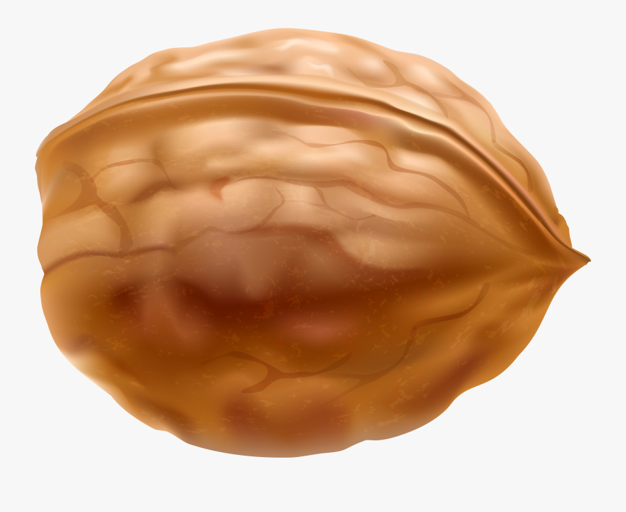 Walnuts Clip Art - Baumnuss Clipart, Transparent Clipart
