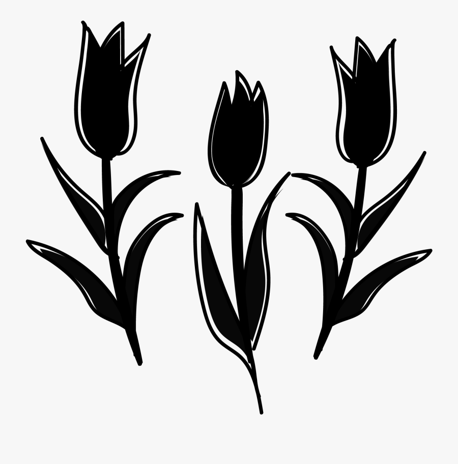 Plant Yellow Stem Tulip Tsubomi White Clipart - Sprenger's Tulip, Transparent Clipart