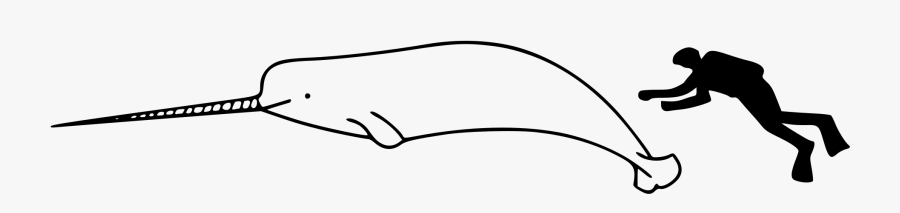 Narwhal Compared To Human, Transparent Clipart