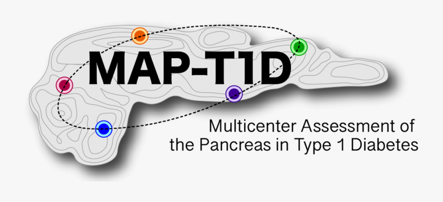 Graphic Design, Transparent Clipart