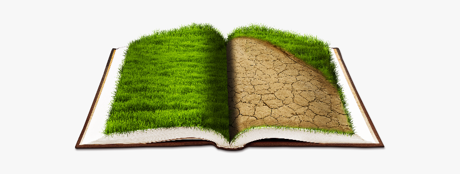 Open Book Png With Grass Texture - Open Book With Grass, Transparent Clipart