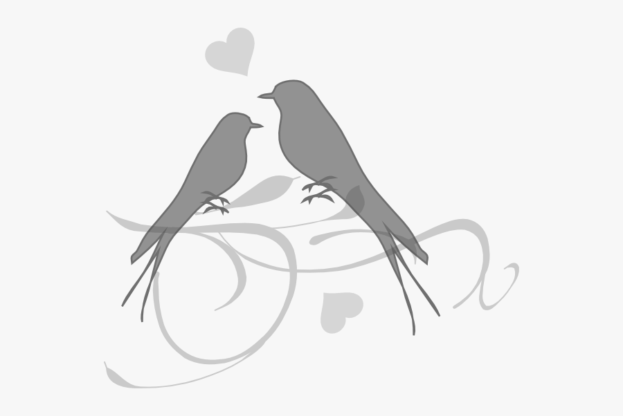 Wedding Clipart Love Bird, Transparent Clipart