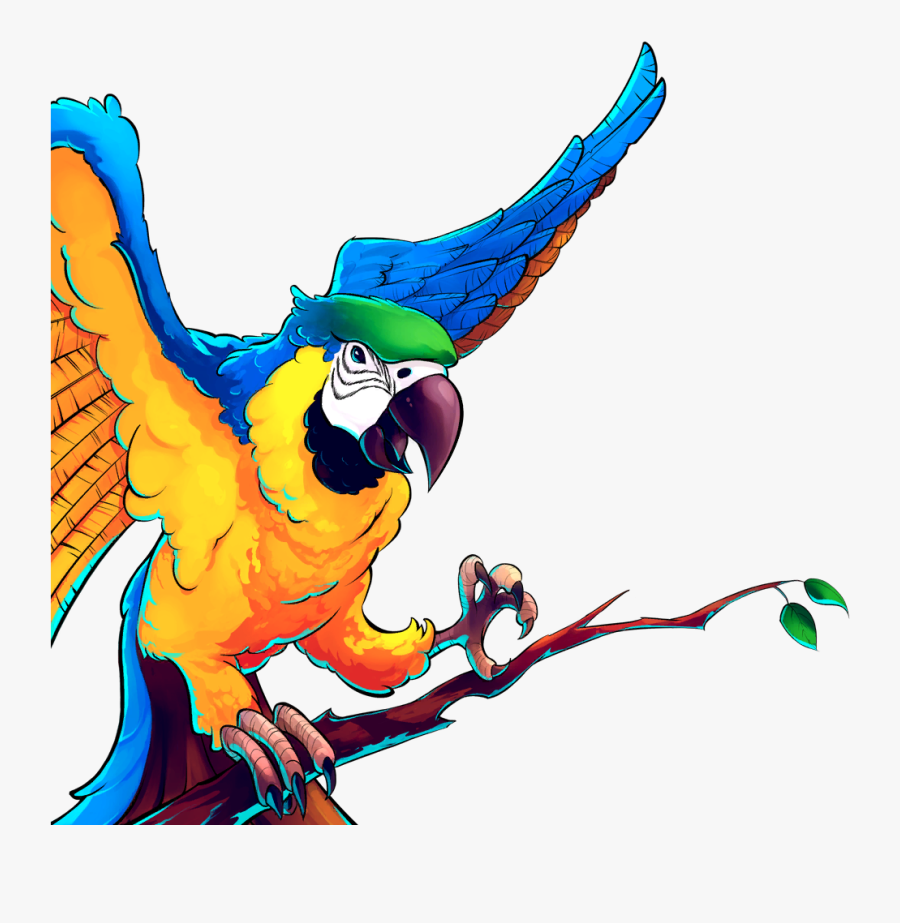 - Macaw Clipart , Png Download - Cartoon, Transparent Clipart