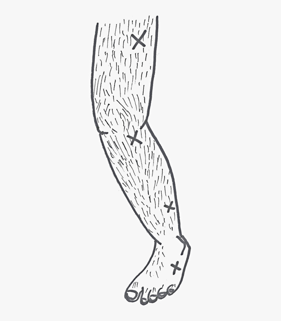 Butt Drawing Itch - Illustration, Transparent Clipart