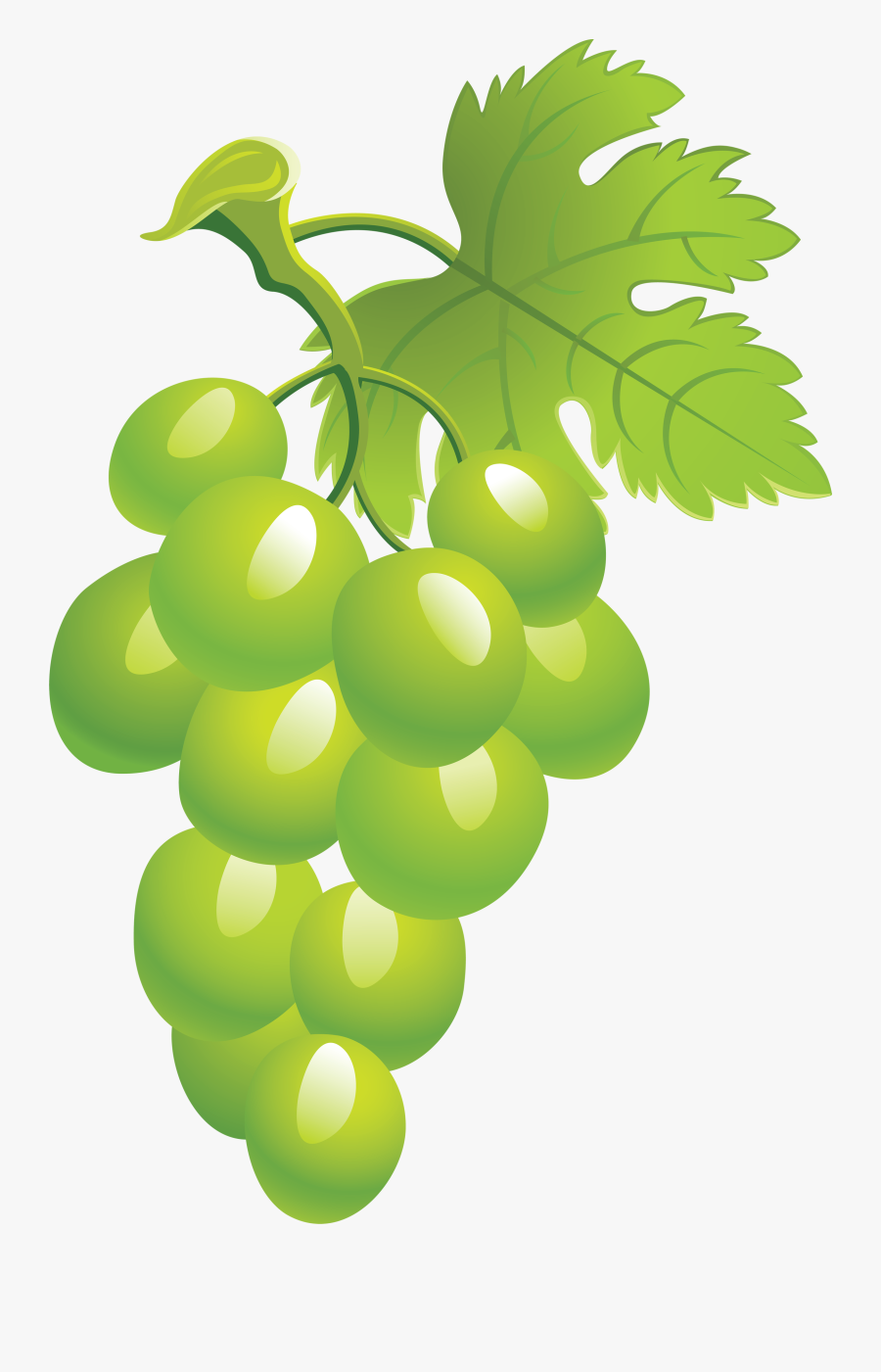 Grapes Clipart Green Grape Picture Png Image - Sultana, Transparent Clipart